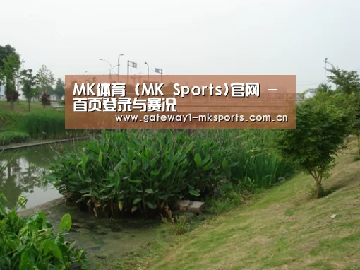 案例展示四(图1)