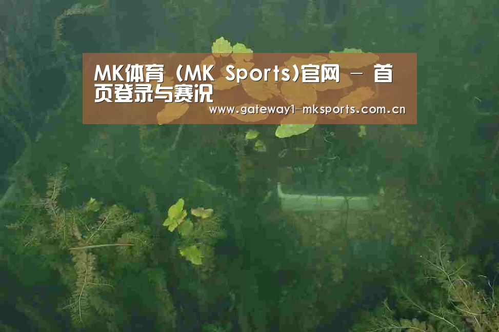 案例展示三(图1)