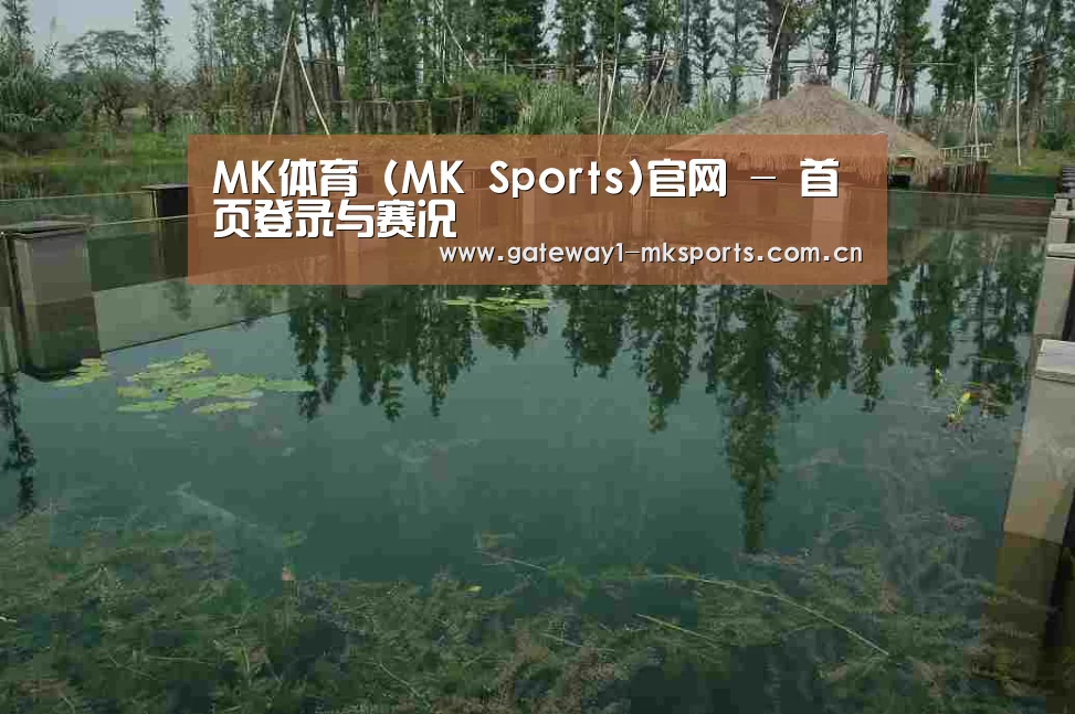 案例展示二(图1)