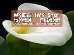 产品名称七