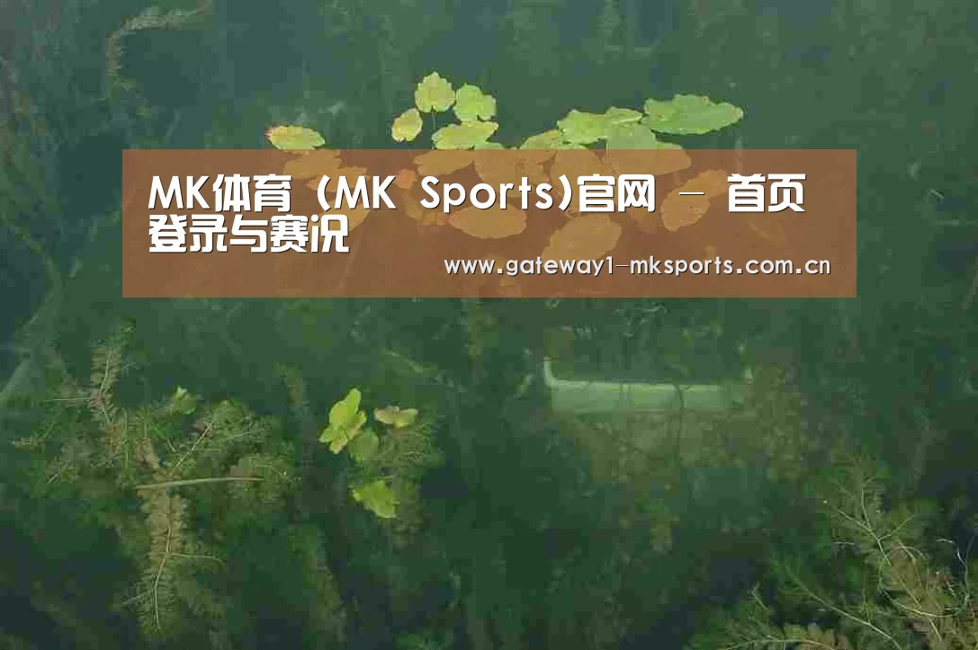 案例展示三