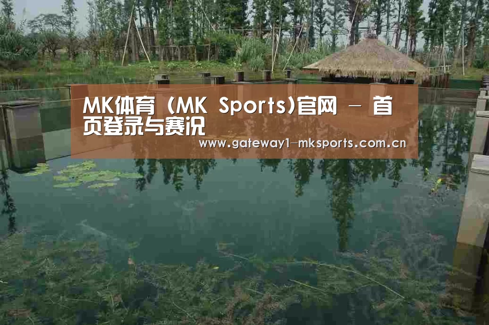 案例展示二