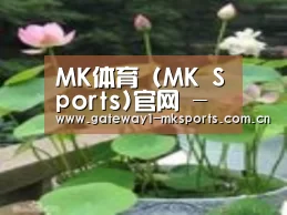 产品名称一