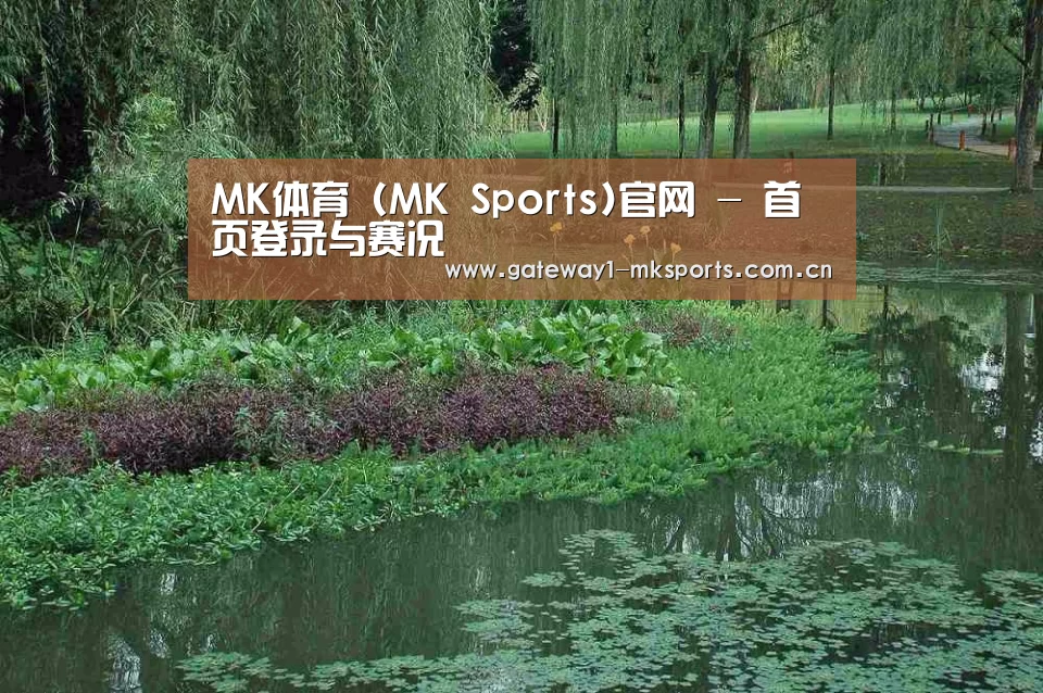 案例展示一