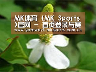 产品名称三