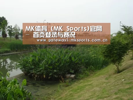 案例展示四