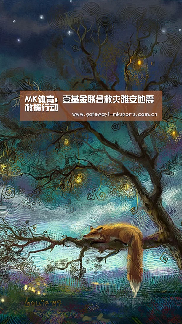 MK体育:壹基金联合救灾雅安地震救援行动(图3) MK体育