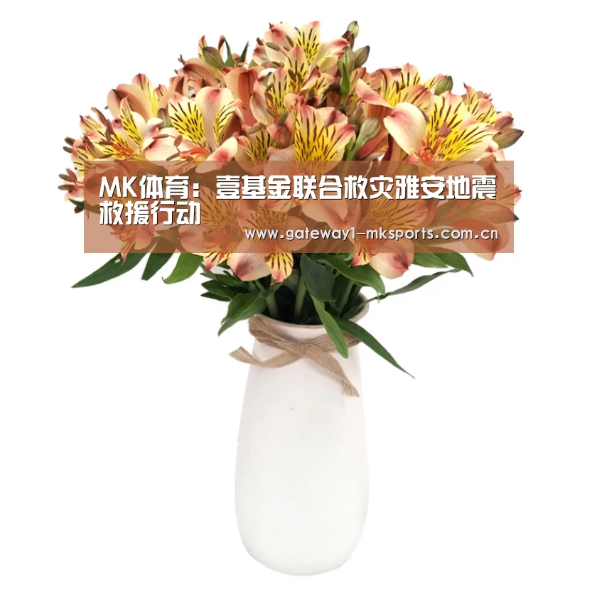 MK体育:壹基金联合救灾雅安地震救援行动(图1) MK体育