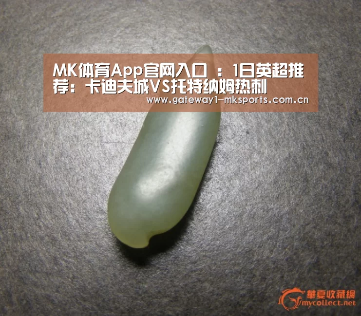 MK体育App官网入口 :1日英超推荐:卡迪夫城VS托特纳姆热刺