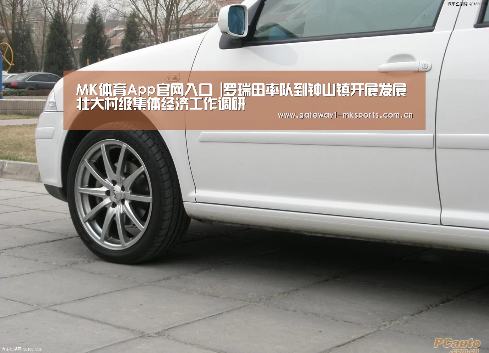 MK体育App官网入口 |罗瑞田率队到钟山镇开展发展壮大村级集体经济工作调研(图1) MK体育App官网入口